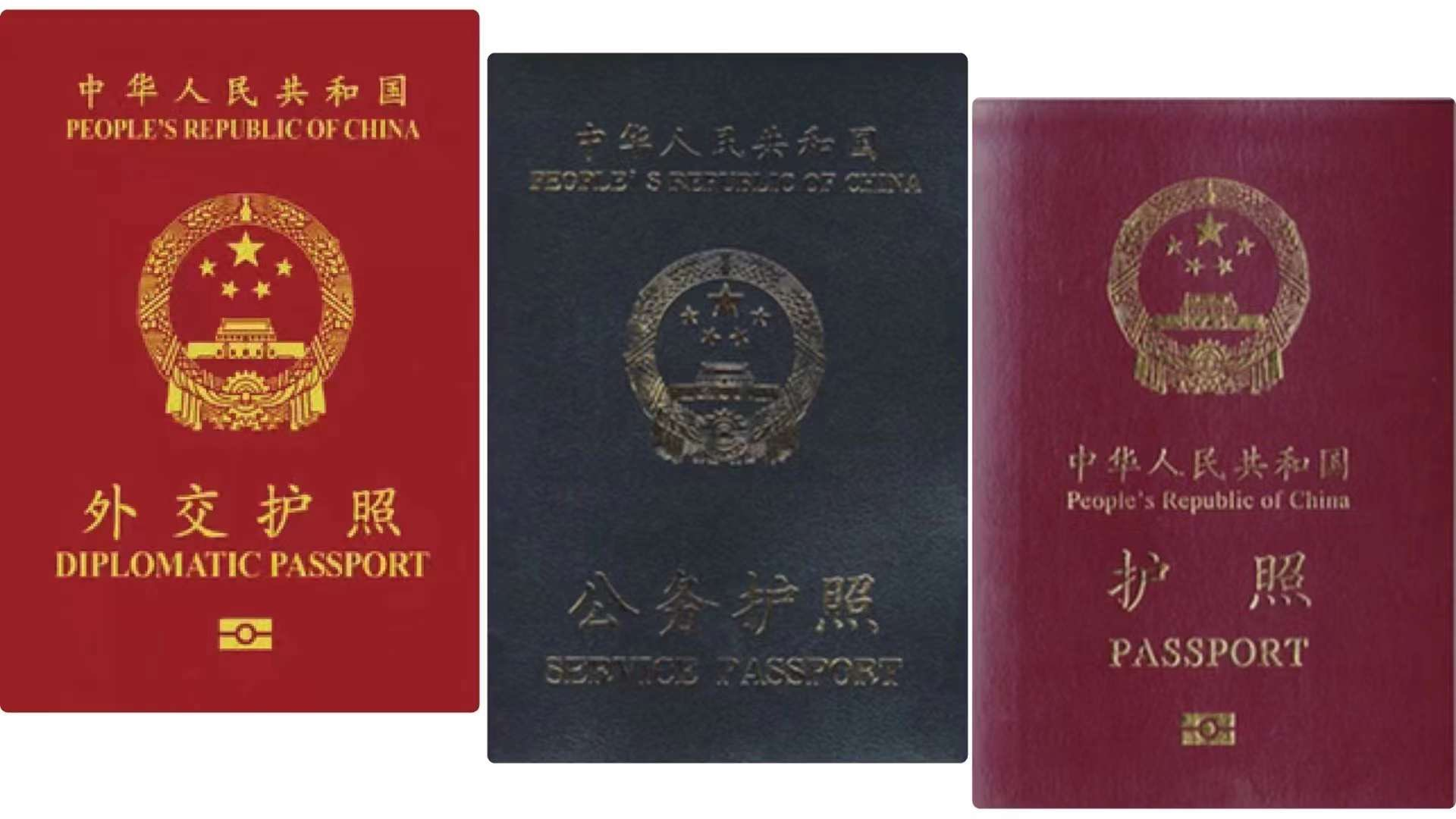 pm護照辦理