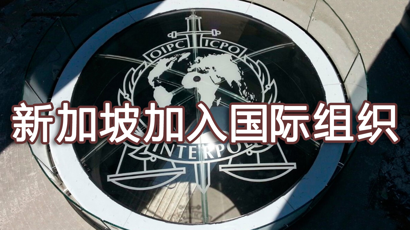 新加坡加入國際組織